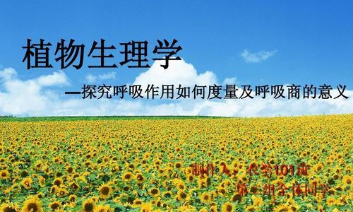 植物呼吸作用的意义是什么？为何对生态平衡至关重要？