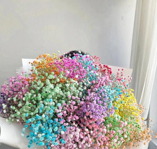 白色满天星代表什么含义？花语解读及送花建议？