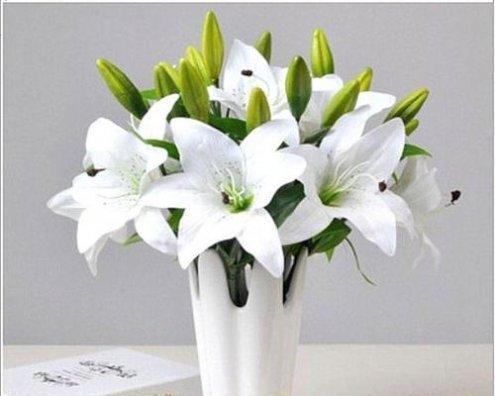 百合花语象征着什么？了解其背后的美好寓意！