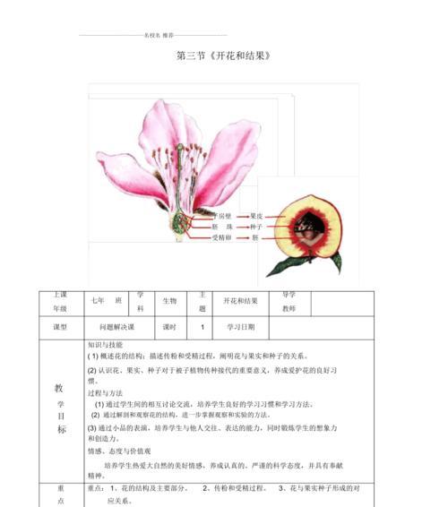 红掌分株的最佳时机是什么时候？分株后如何护理？