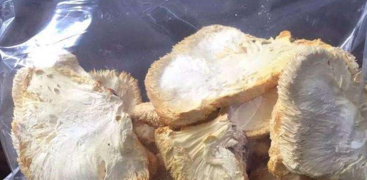 猴头菇怎么保存才能长久保持新鲜？最佳保存技巧是什么？