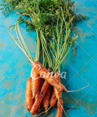 胡萝卜属于什么植物分类？它的营养价值有哪些？