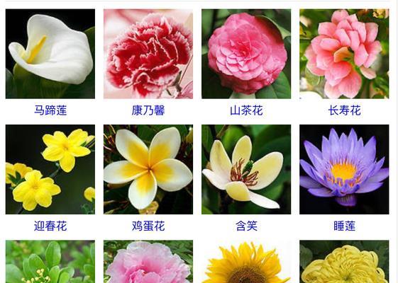 葫芦什么时候开花结果？开花结果的季节是什么时候？