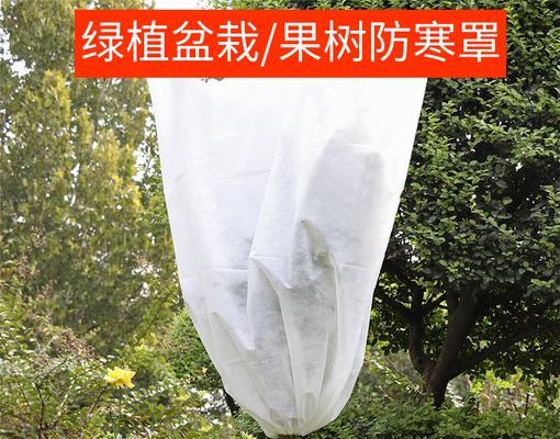 葫芦套袋的最佳时间是什么时候？如何确保套袋效果？