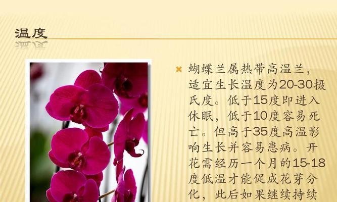 蝴蝶兰花土怎么配制？自制蝴蝶兰生长土壤的正确步骤是什么？