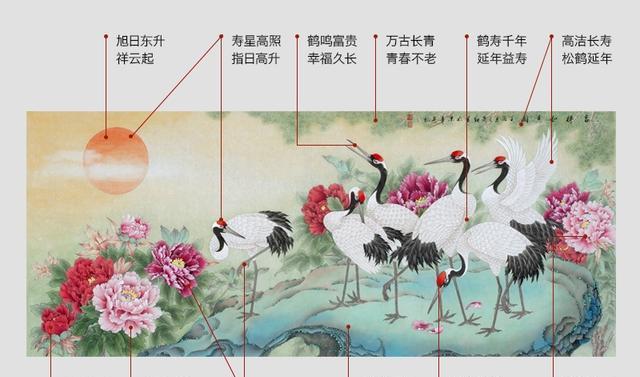 牡丹是喜阳还是喜阴？如何正确养护牡丹花？