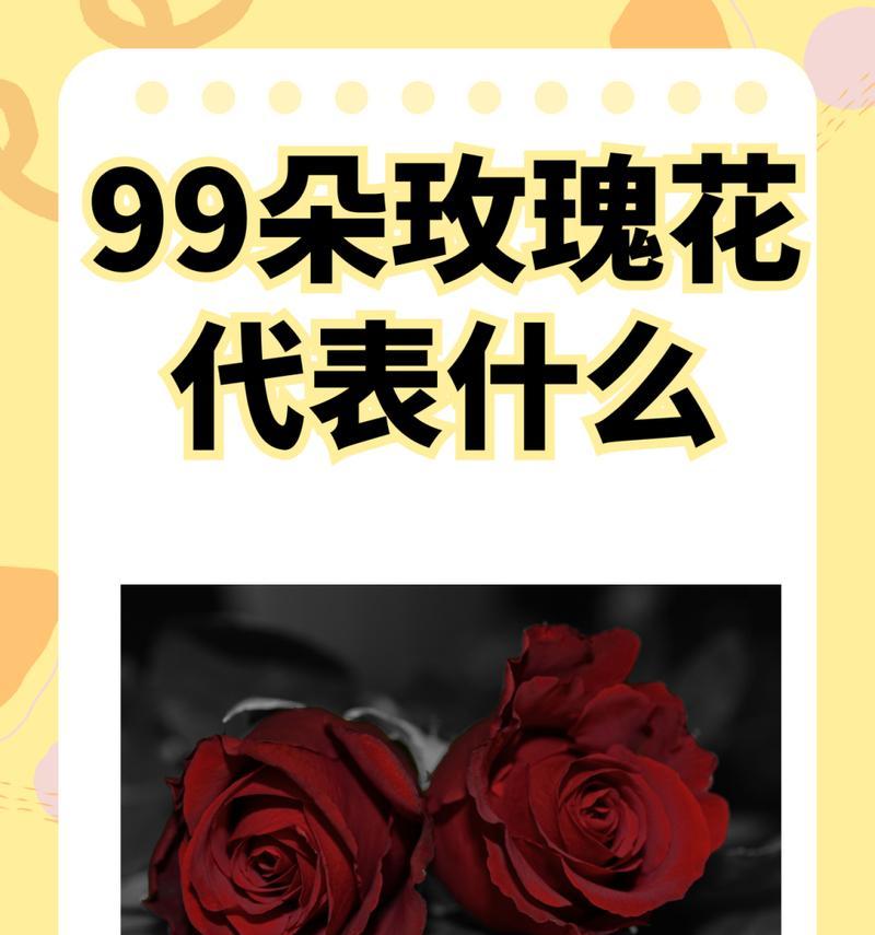 418朵玫瑰花代表什么寓意啊？这个数字背后隐藏了什么含义？