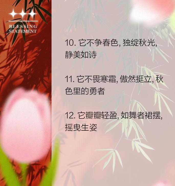 菊花的典型句子有哪些？