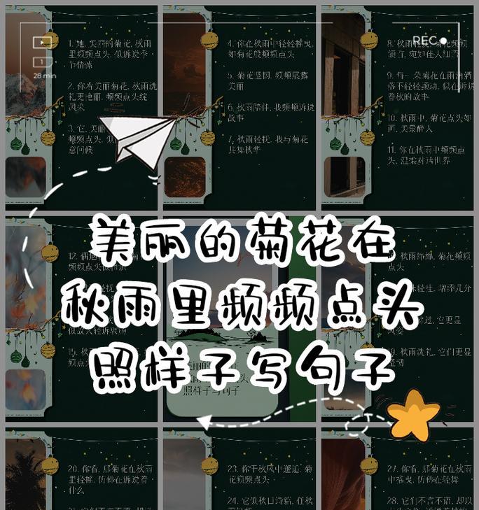 菊花的典型句子有哪些？