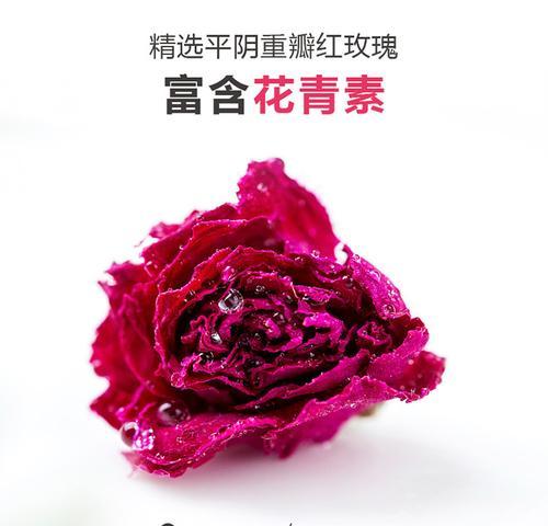 876朵玫瑰花代表什么含义？为什么选择这个数字？