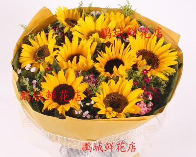 176朵玫瑰花代表什么动物？通过视频如何表达爱意？