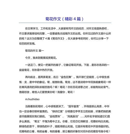 以菊花为主题的开头和结尾