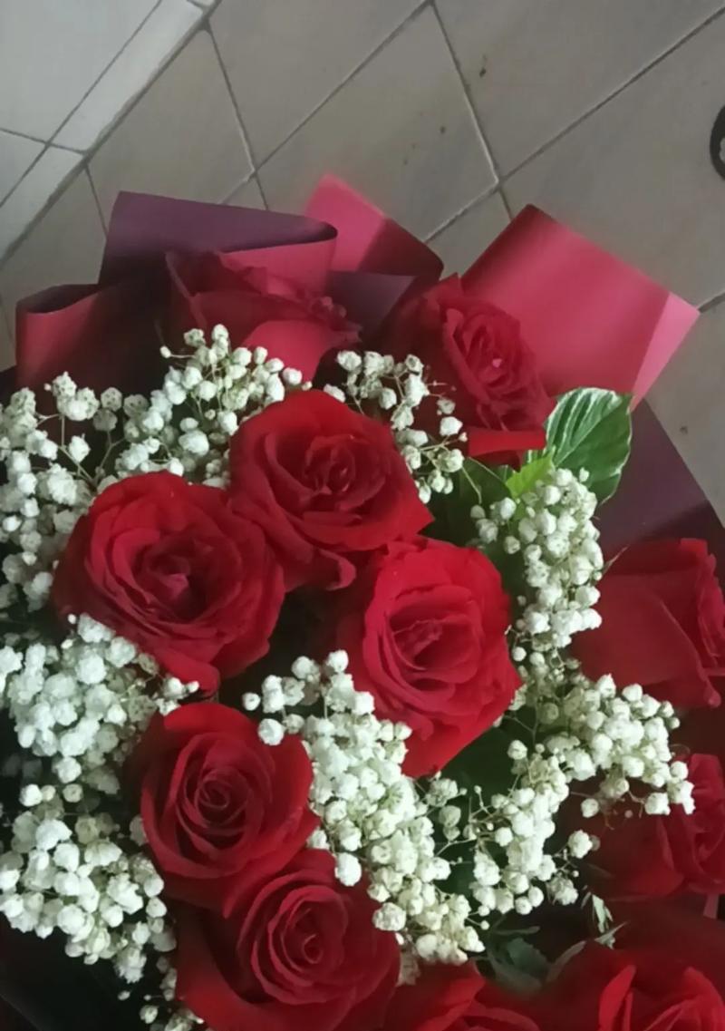 玫瑰花十一朵表示什么
