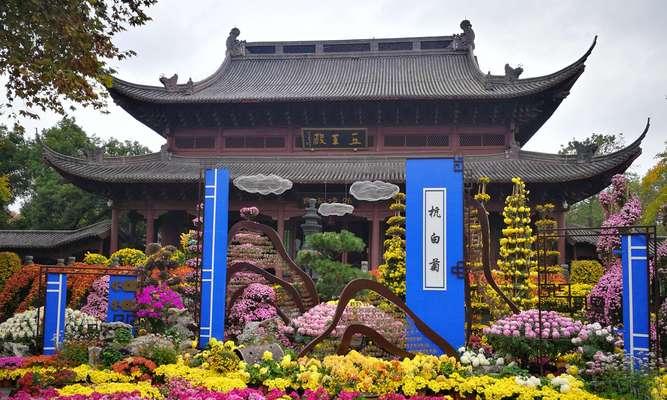 杭州菊花展开门时间是几点