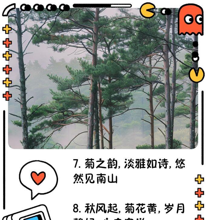 关于菊花的三百字的赞美词语有哪些名句
