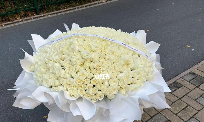 情人节朋友圈白玫瑰配图文案怎么写啊