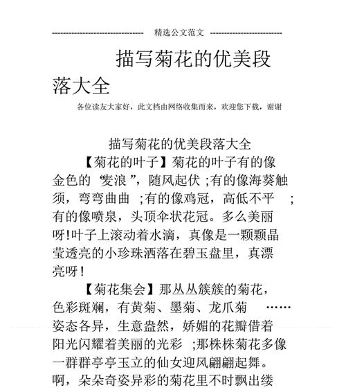 菊花优美片段300字左右