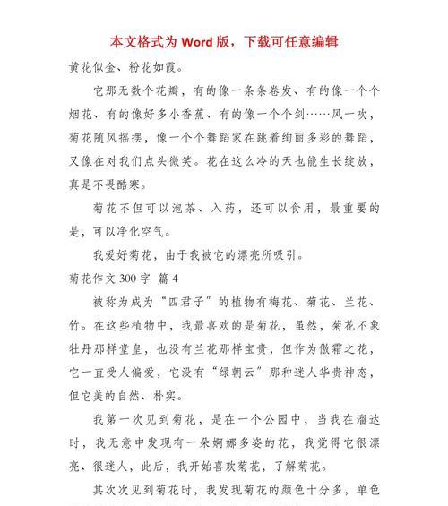 菊花优美片段300字左右