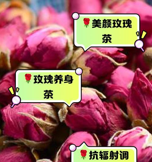 玫瑰的功效与作用医生