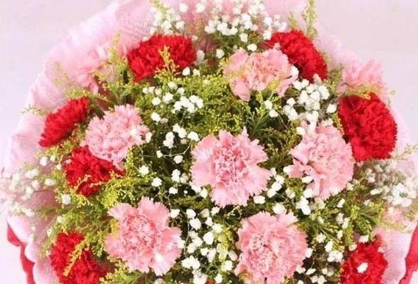 三朵粉色康乃馨代表什么？粉色康乃馨在送礼中的意义是什么？