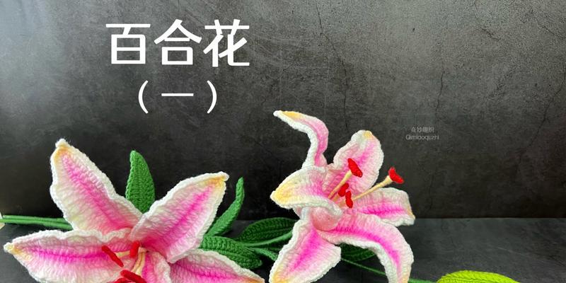 编写关于百合的教程有何目的？