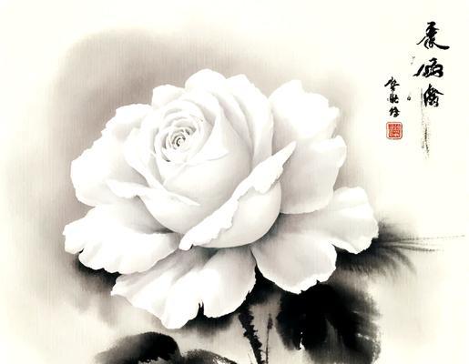 白玫瑰花语的寓意和象征是什么？