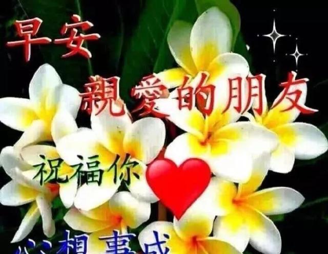 表情包中玫瑰花代表什么？如何正确使用？