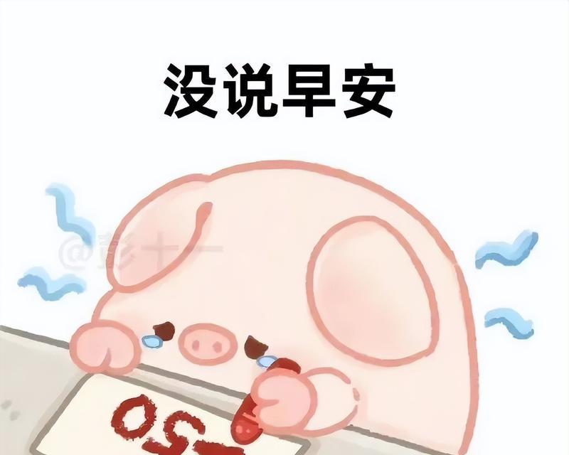 表情包中玫瑰花代表什么？如何正确使用？