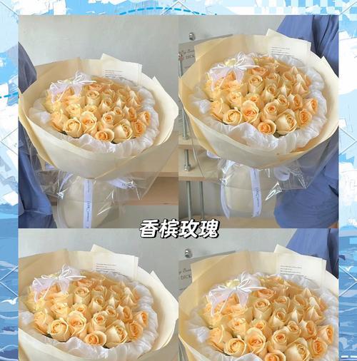 玫瑰花象征着哪些寓意？