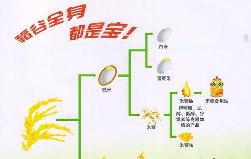 水稻种植作为好项目是什么意思？它通常用来表达什么？