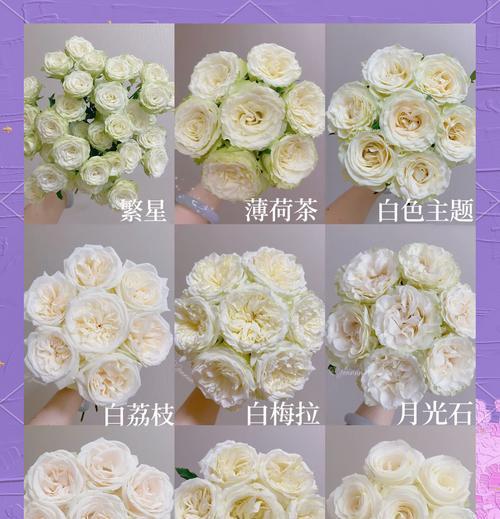 姐夫送白玫瑰好吗女生送什么？送白玫瑰在家庭关系中有何含义？