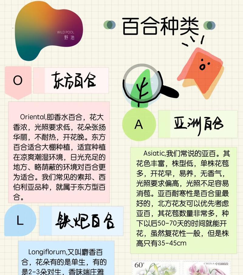 百合命是什么意思？百合花在命理学中的象征意义是什么？