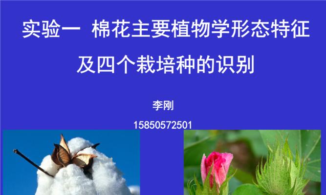 植物学中研究的植物有哪些？它们的特点是什么？