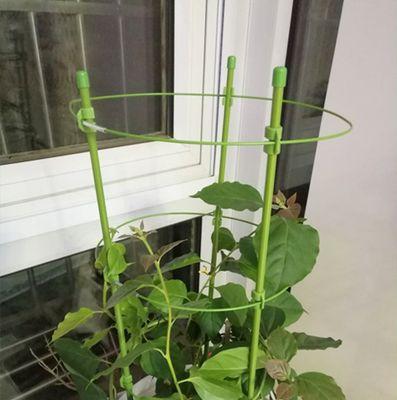 植物支架绑绳怎么绑？令人惊艳的花卉画作品有哪些？