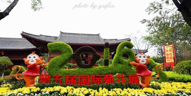 秋游植物画卷的绘制技巧是什么？需要哪些材料？