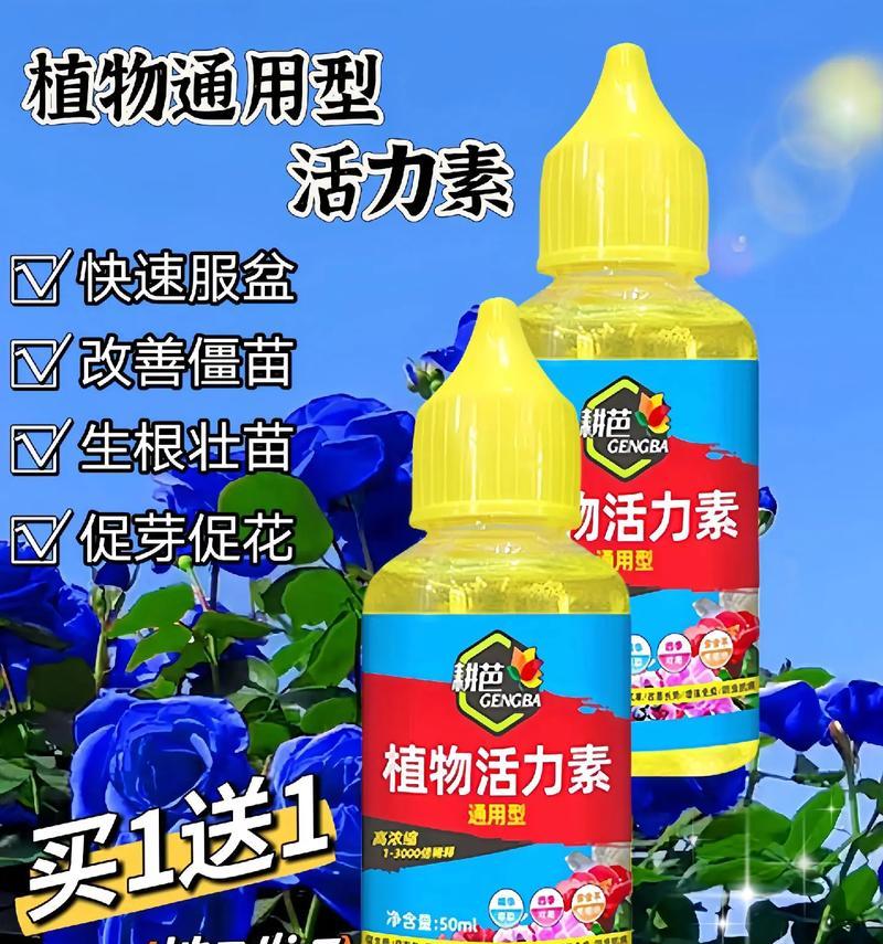 提高植物活力的有效方法有哪些？