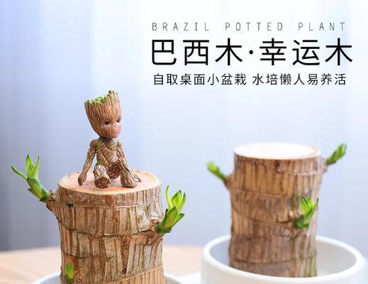 提高植物活力的有效方法有哪些？