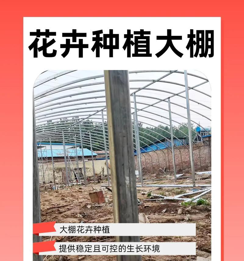 花卉从种植到开放有哪些过程？
