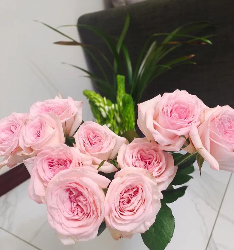 云舍花卉代表什么意义？如何正确摆放？