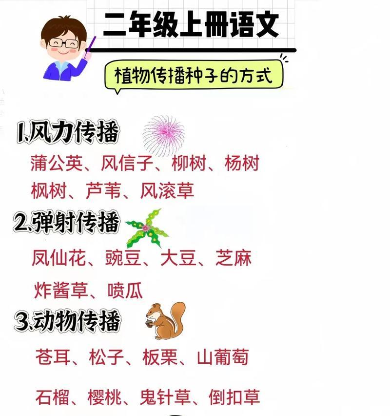 哪些植物依赖种子传播？