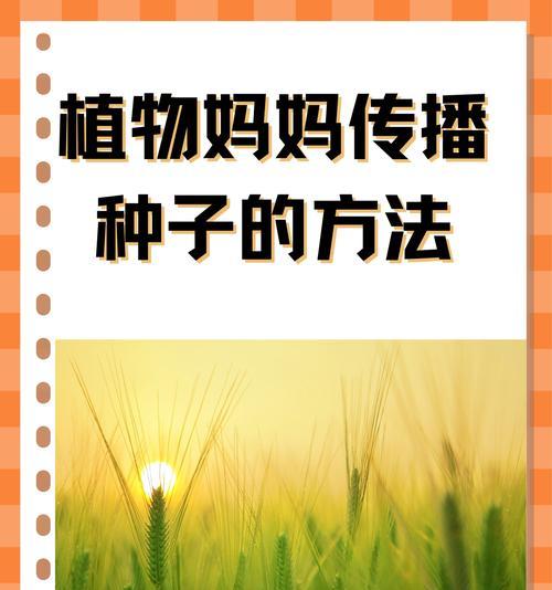 哪些植物依赖种子传播？