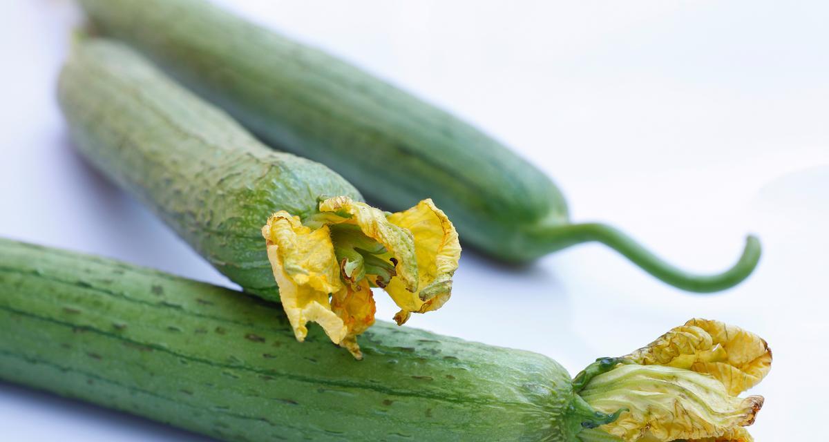 面膜黄瓜植物怎么用？它有哪些美容功效？