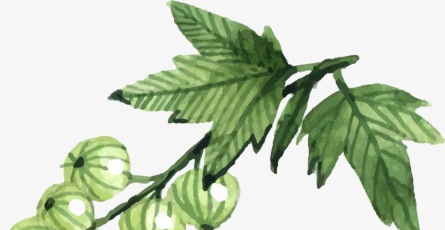 植物们怎么打僵尸？游戏中的植物防御机制是怎样的？