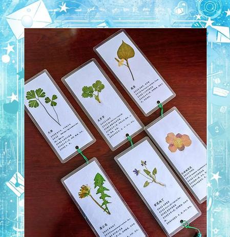 哪些植物做成标本后最为美观？制作标本的技巧是什么？