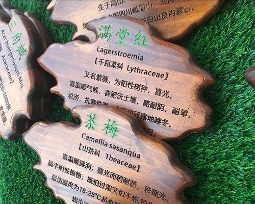 如何制作植物挂牌？打印植物挂牌需要注意什么？
