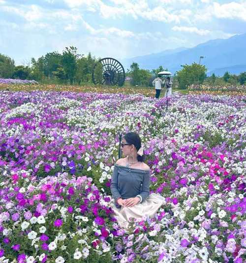 洱海花海中有哪些知名花卉？