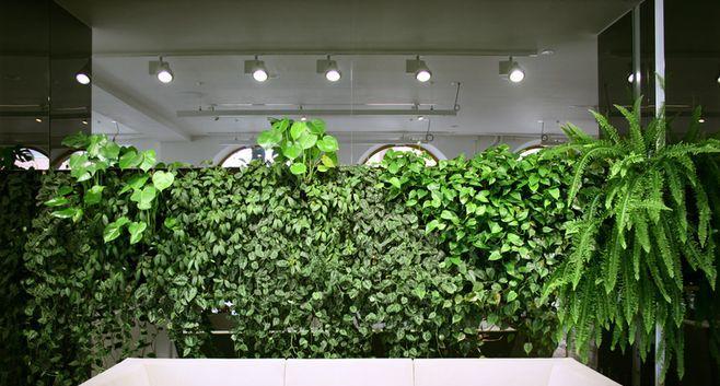 玖澜uk植物液使用效果如何？