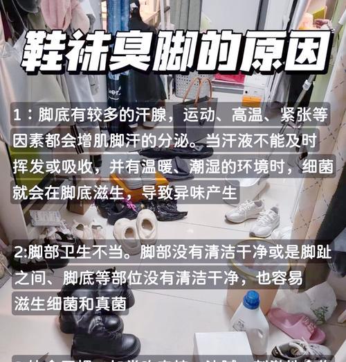 厕所异味如何用植物来消除？