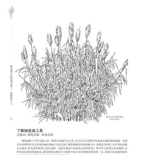 植物作画的神奇之处在哪里？如何自己动手创作？