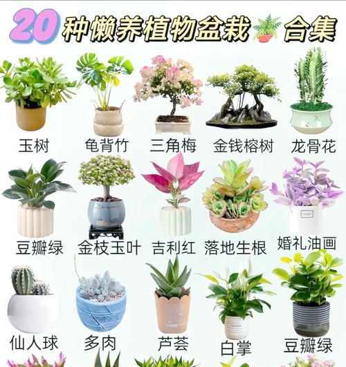 所有植物都能在任何环境中生长吗？如何选择适合的植物种类？